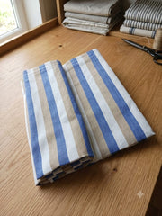 Winner Strips Bedsheet  - Blue